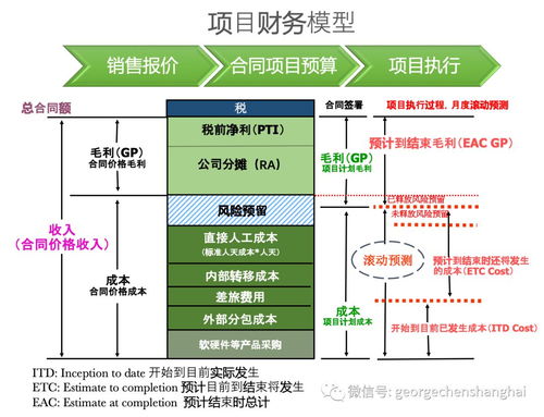 開票無關型專業服務項目公司運營管理體系 流程、財務管理與IT系統及信息系統運維服務